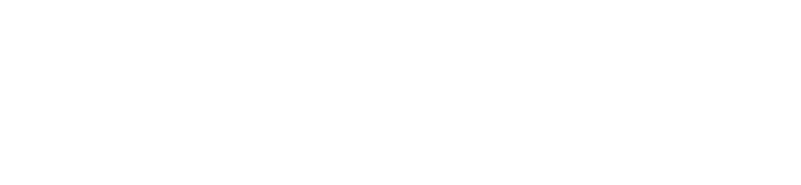 Leo Capital